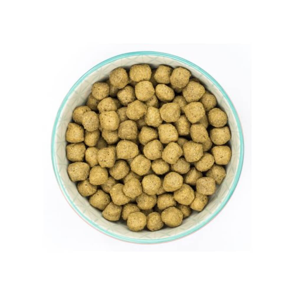 Burns Adult & Senior Product45 PetBest
