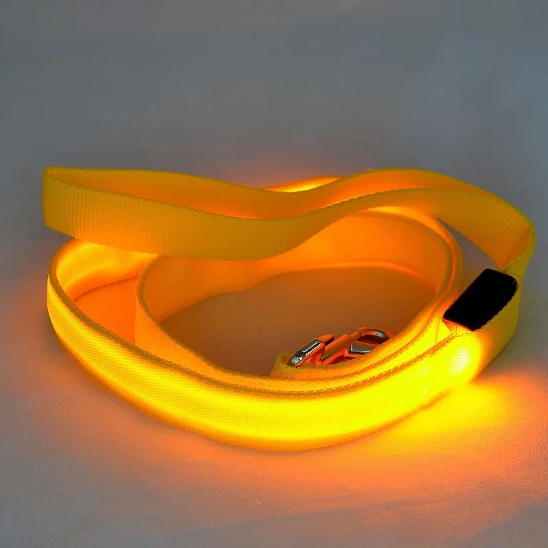 LED Light Up Dog Leash Luminous Rope Lead Leash For Dog Safety Flashing Glowing Dog Collar Harness Electronic Pet Accessories S10e13a636c6941eb8e3112c3031fea9fc Mytailwiggles2.com