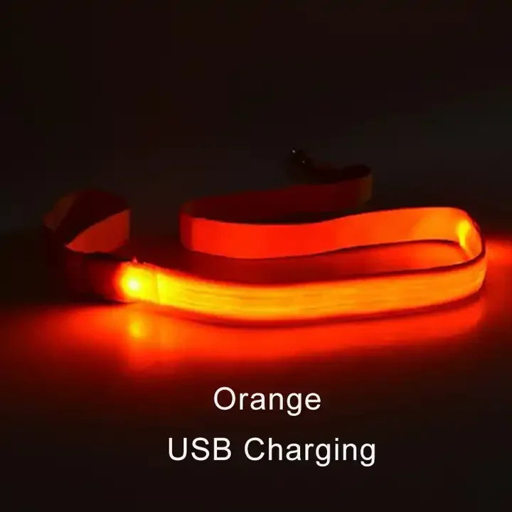 LED Light Up Dog Leash Luminous Rope Lead Leash For Dog Safety Flashing Glowing Dog Collar Harness Electronic Pet Accessories orange USBCharging Traction rope only S15258796e12a4156854f9769d6ac9f05O Mytailwiggles2.com