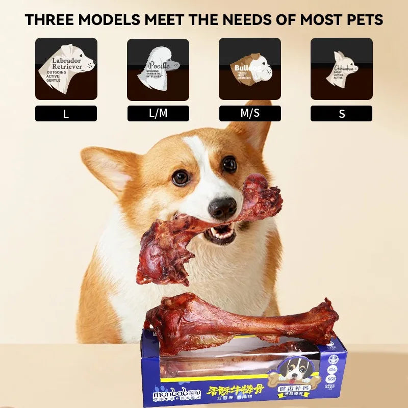 Pet Dog Snacks Crispy Beef Stick Bone Large Size Grinding Teeth Snacks Delicious Nutritious Meat Flavorful Bone Crispy Pet Food S185f4885a8c24bbbb4fec77ab4f22a150 Mytailwiggles2.com