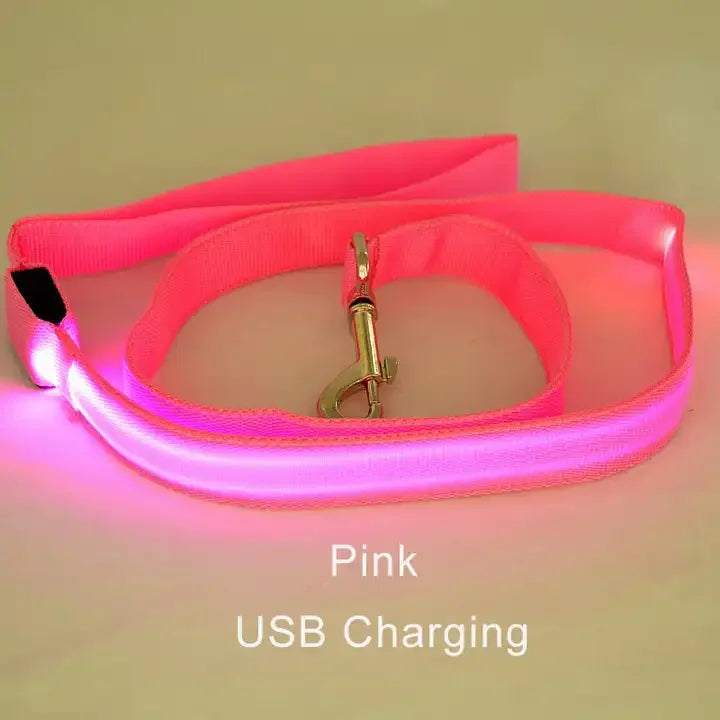LED Light Up Dog Leash Luminous Rope Lead Leash For Dog Safety Flashing Glowing Dog Collar Harness Electronic Pet Accessories pink USBCharging Traction rope only S294718ffaa8b4e3e93ac72cc8f28106dI Mytailwiggles2.com