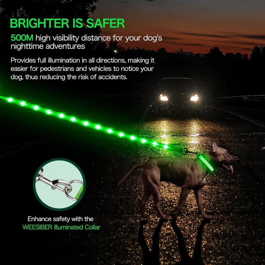 Glowing Light Up LED Dog Leash 4ft USB Rechargeable Flashing Nylon Leash for Small Medium Large Dogs 3 Flash Modes Green
