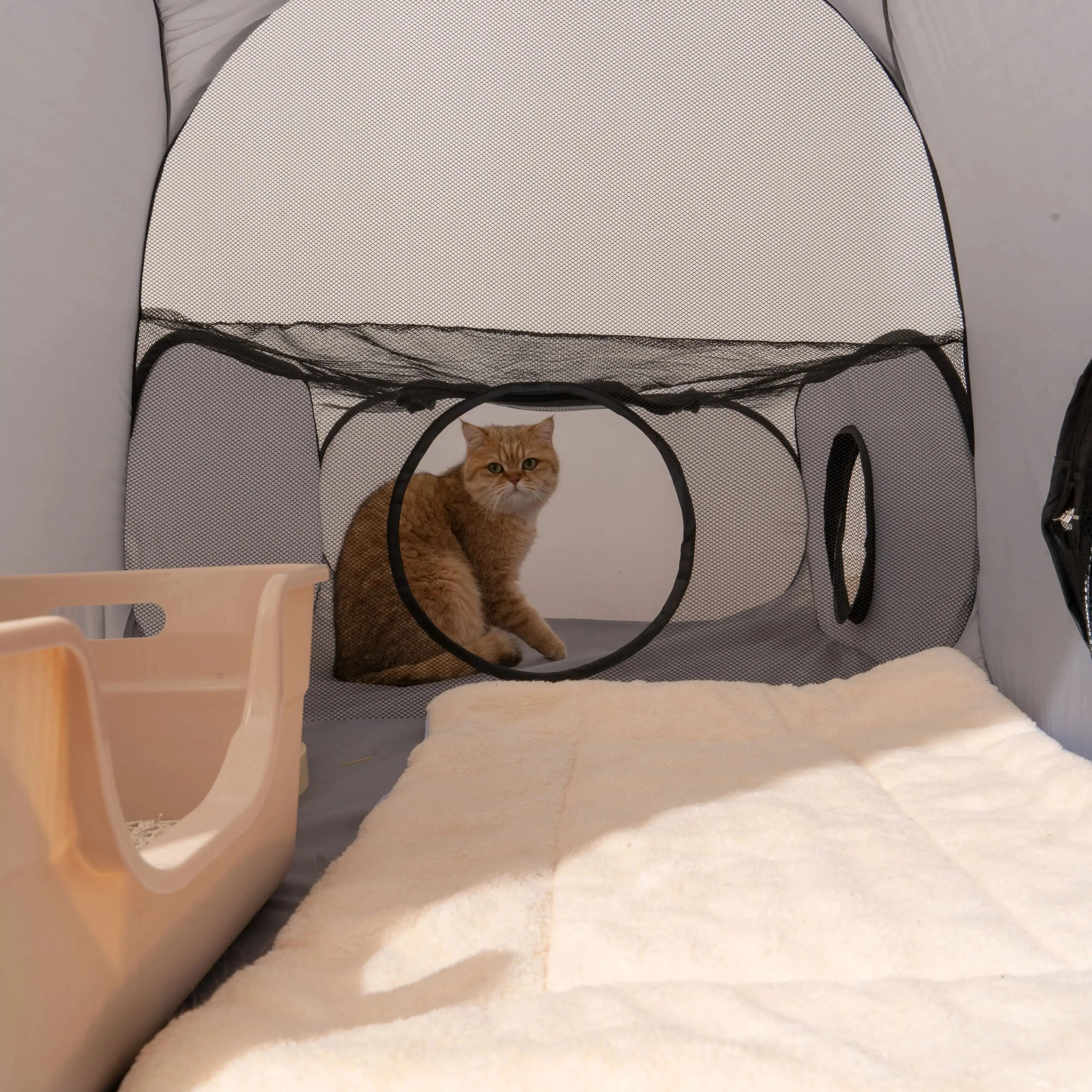 Square Gray Cats and Dogs Delivery Room Hard Oxford Cloth with a Play Tunnel Foldable Pets Nest S2e7382ec8ba943fb96216267bd455e001 Mytailwiggles2.com