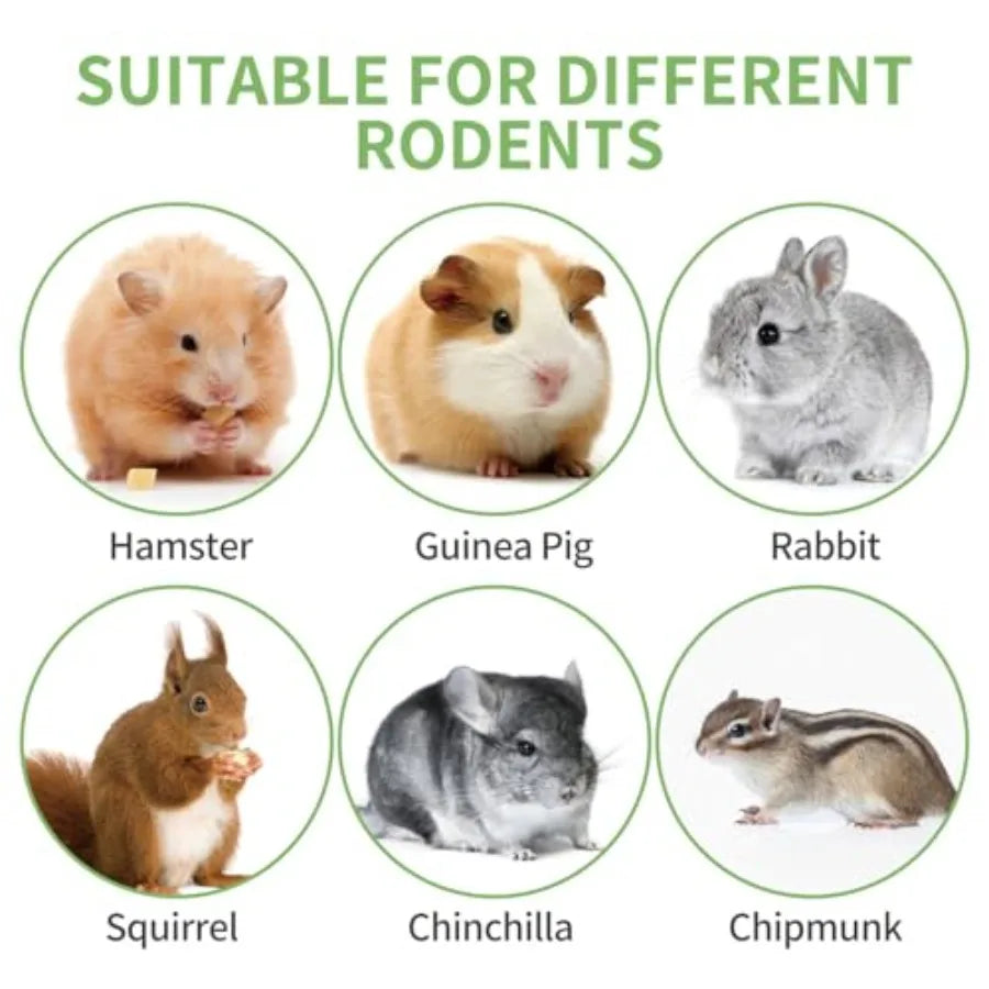 330g tural Apple Sticks Rabbit Chew Toys Bunny Teething Toys Easy to Store in Jar Ideal for Rabbit Guinea Pig Hamster Chinchill