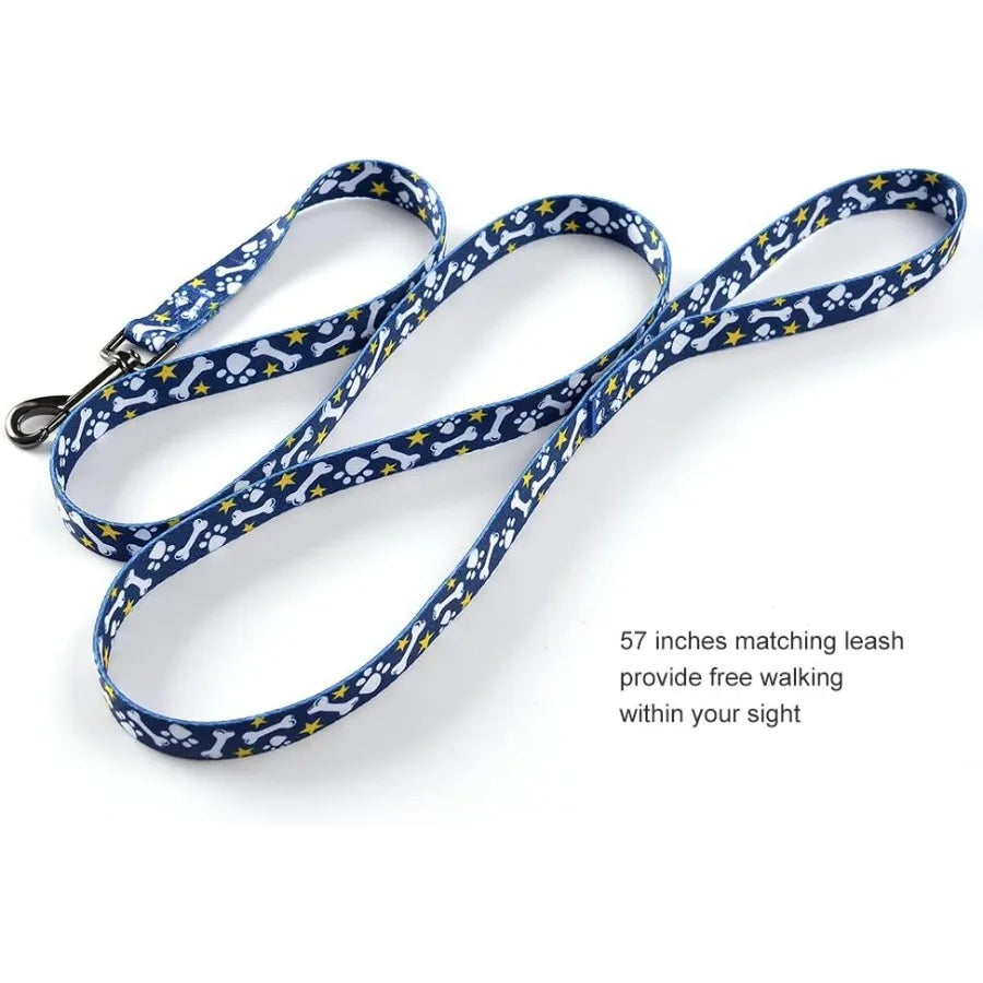 Dog Collar and Leash Set for Daily Outdoor Walking Running Training Bone Design for Small Boys Girls Dogs Cats Pets SUp to 20LB S37d579896ca0405fb9b76e5c512db80aK Mytailwiggles2.com