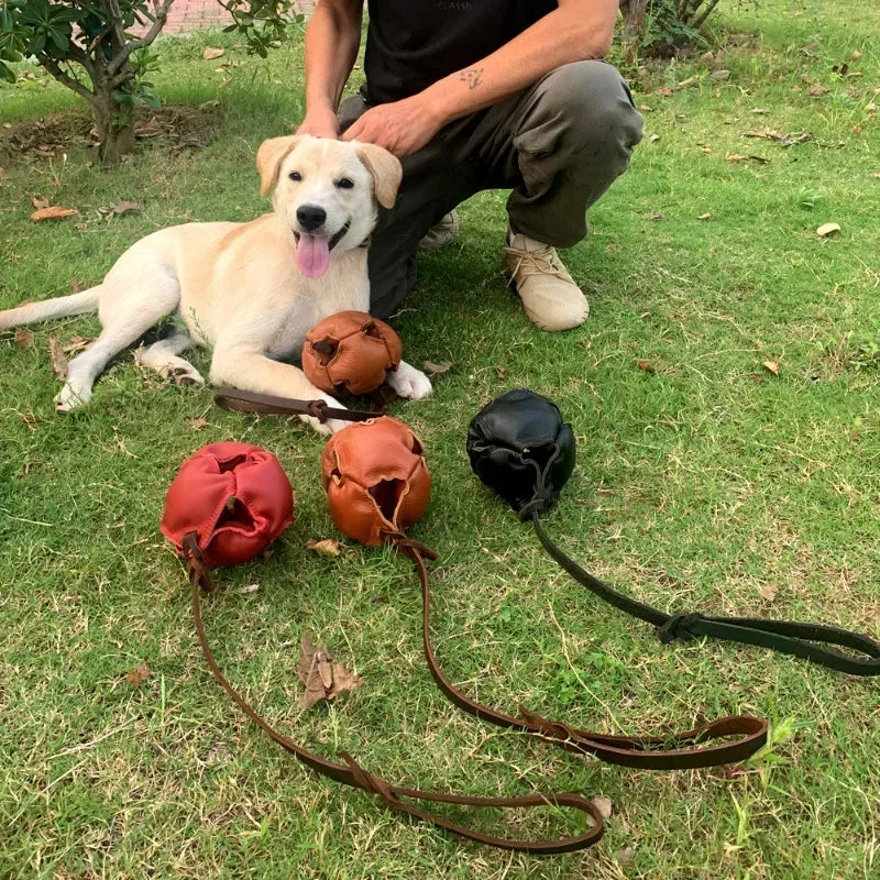 Leather Dog Training Ball Toy Dog Ball Tug Toy, with a Handle Dog Bite Toy, Soft Puppy Reward Toy for Fetch Catch Throw Pet Toys S4638ef5222ec4738baed6483e374e405R Mytailwiggles2.com