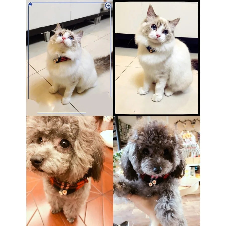 Small Dog Costume Collar Plaid Bowtie Kitten B Collar for Halloween Teacup Yorkie Chihuahua Clothes Outfits Accessories Adjusta