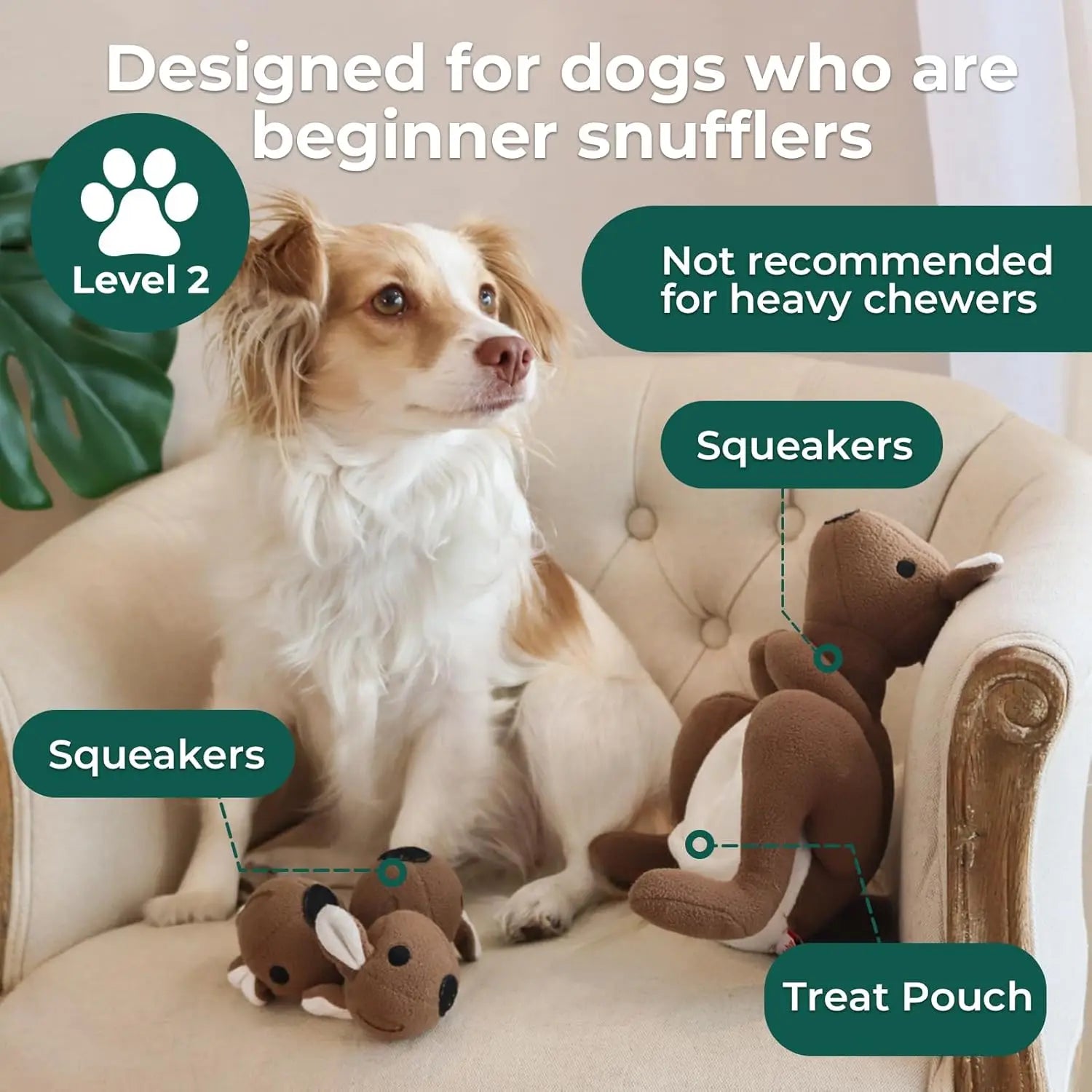 Interactive Kangaroo Plush Dog Toy with Squeaker & Treat Pouch - Snuffle Enrichment Puzzle for Small Medium Dogs S4e6f7fb7d3364492b2dba6d09d8519de8 Mytailwiggles2.com