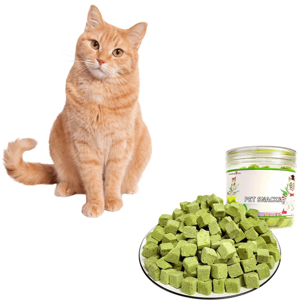3.8oz/100g Cat Grass Treats for Hairball Support and Teeth Cleaning, Chicken Flavored Hairball Treats for Cats S4f12cfa71da8497086f6be596650f11fN Mytailwiggles2.com