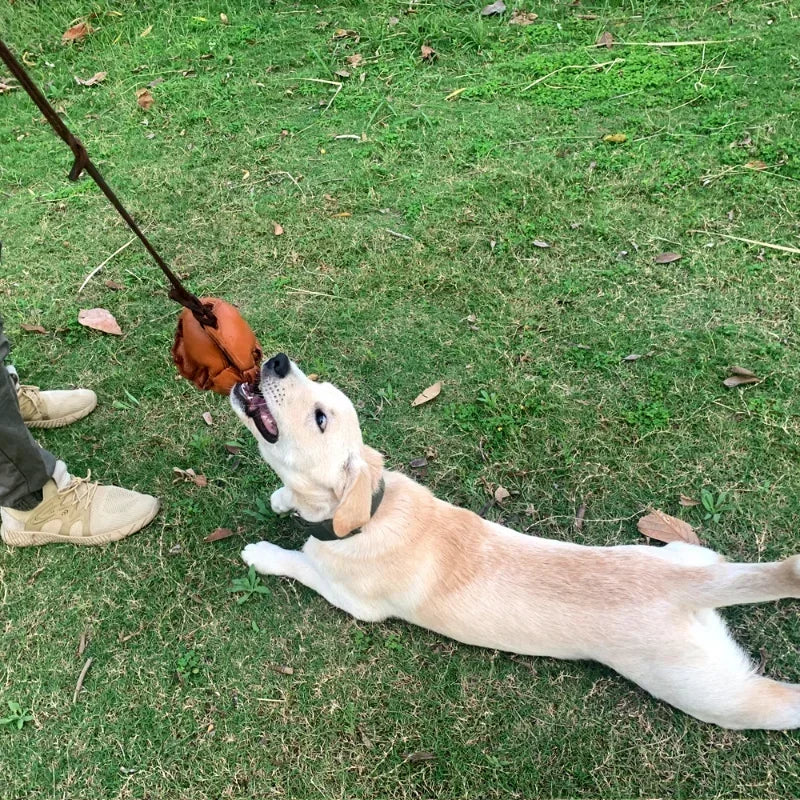 Leather Dog Training Ball Toy Dog Ball Tug Toy, with a Handle Dog Bite Toy, Soft Puppy Reward Toy for Fetch Catch Throw Pet Toys S5183525f790e4091abe624a9a488a3e7f Mytailwiggles2.com