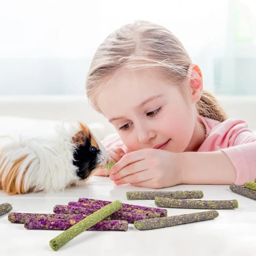 32Pcs Timothy Hay Sticks 320g for Rabbit Guinea Pig Hamster tural Handmade Treats and Chews for Teeth Chinchilla Rat Gerbil Toy S5575be9cd03d42f897d4d4c2b6cbb03cO Mytailwiggles2.com