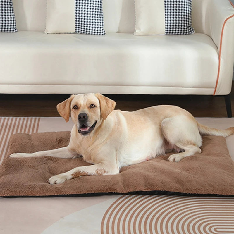 Dog Bed Short Plush Pet Heated Sleeping Mat Cats And Dogs Cute Pet Mat Blanket Thickened Sleeping Mat Small Large Dog Pet Suppli S5cdd651ef8614384a4515d22eab11470r Mytailwiggles2.com