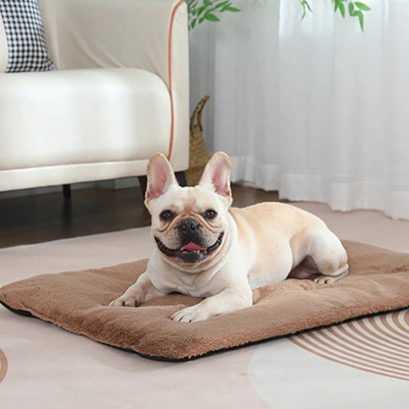 Dog Bed Short Plush Pet Heated Sleeping Mat Cats And Dogs Cute Pet Mat Blanket Thickened Sleeping Mat Small Large Dog Pet Suppli S692c9edcb7584496ac5249426efd6c0bB Mytailwiggles2.com
