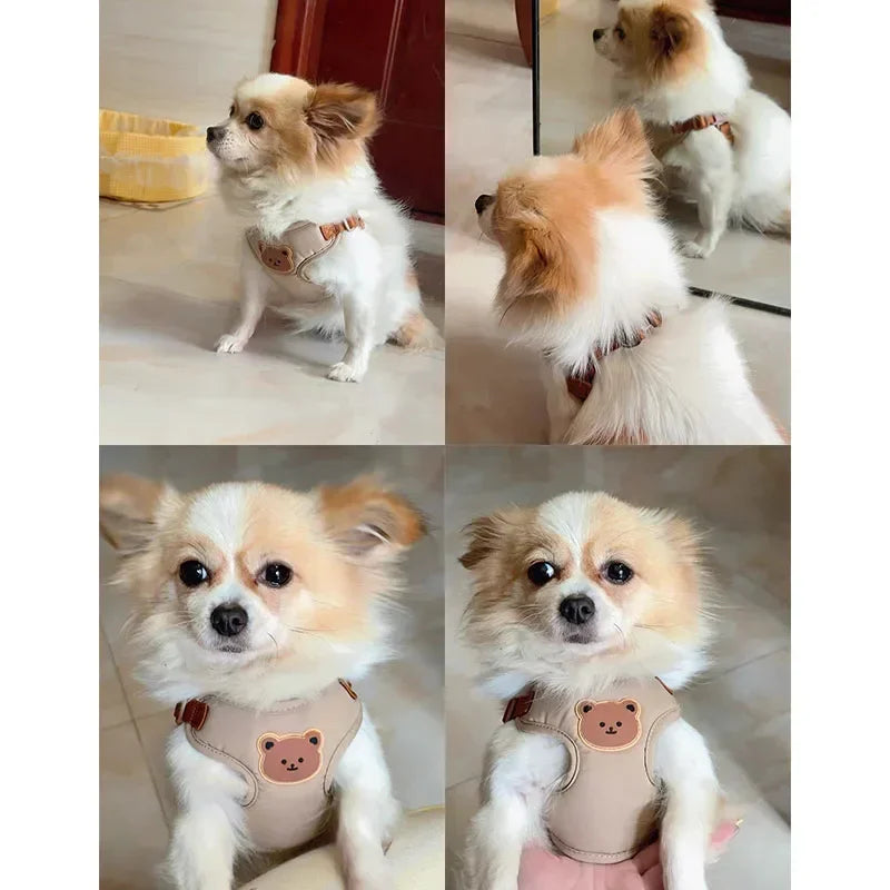 Dog Harness Leash Set Small Medium Dog Cat Vest Puppy Chest Strap French Bulldog Chihuahua Harness Breathable Vest Pet Supplies S69c55549006b4017a31cfbcf97583c1eZ Mytailwiggles2.com