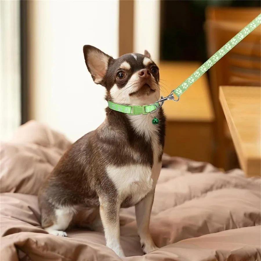 XXS Dog Collar and Leash Set with BellPink Nylon Paw Cat Collar Girl Female Cute Fay Puppy Collar with Bells for XXS XS Tiny Li S6bc76185a2664054b994551f63a26da2b Mytailwiggles2.com