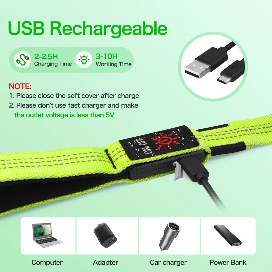 Glowing Light Up LED Dog Leash 4ft USB Rechargeable Flashing Nylon Leash for Small Medium Large Dogs 3 Flash Modes Green S7b09084745ca4cbfa3ce7a9b9ab7ff58Z Mytailwiggles2.com