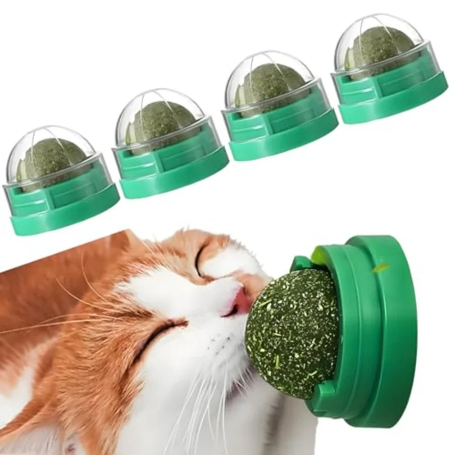 4PCS Catnip Ba for Cats Wall Catnip Toys for Cat Lick Kitten Chew Toys Teeth Cleaning Dental Edible Cat Toys United States S7b1924d9032241f8b0e6649df7a22f9eQ Mytailwiggles2.com