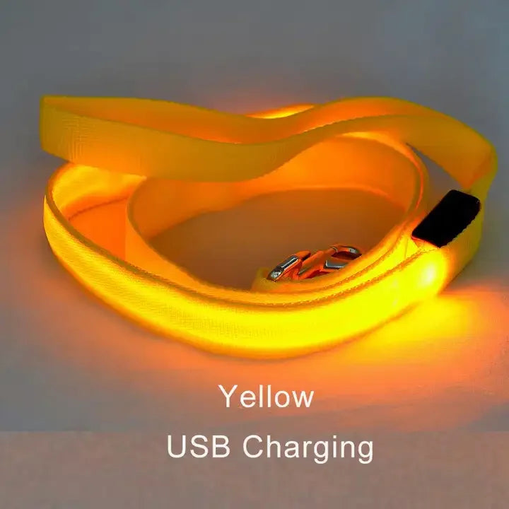 LED Light Up Dog Leash Luminous Rope Lead Leash For Dog Safety Flashing Glowing Dog Collar Harness Electronic Pet Accessories yellow USBCharging Traction rope only S7e28e95773954dd2b6b571d14afa8d292 Mytailwiggles2.com
