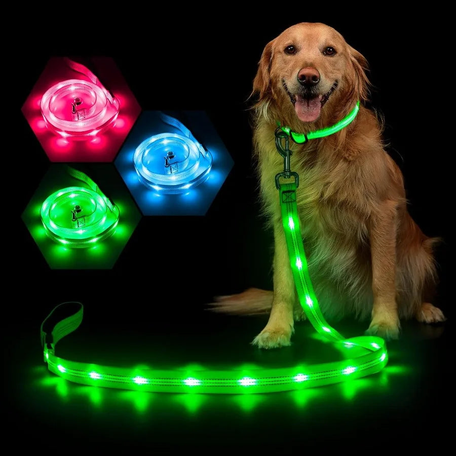 Glowing Light Up LED Dog Leash 4ft USB Rechargeable Flashing Nylon Leash for Small Medium Large Dogs 3 Flash Modes Green