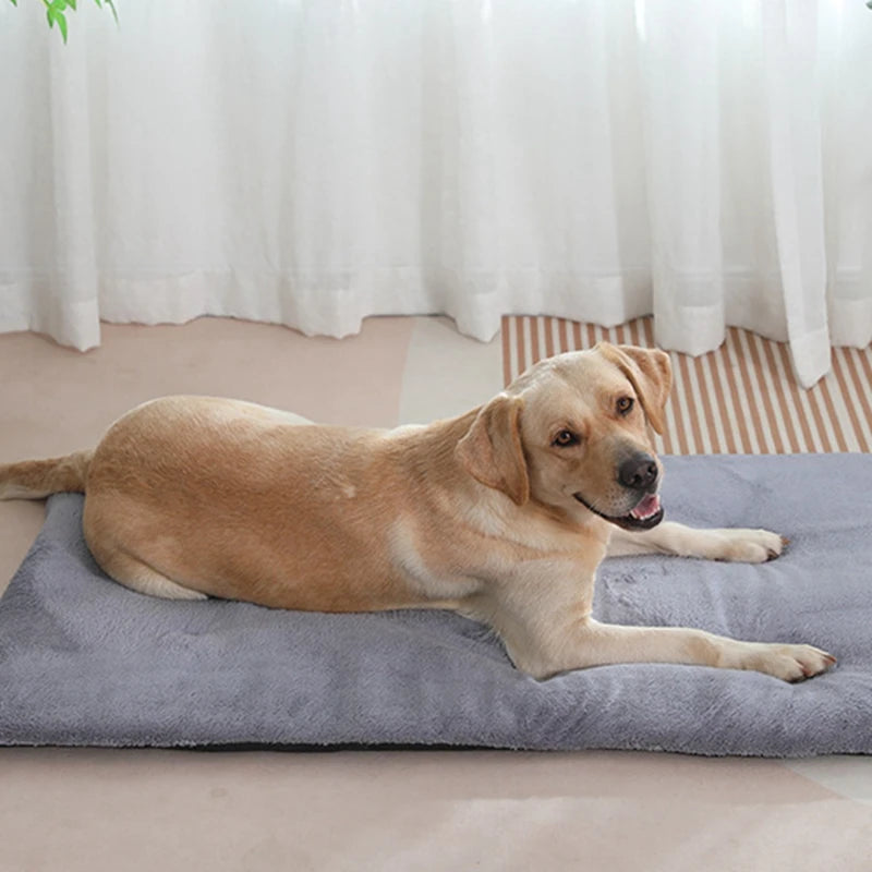 Dog Bed Short Plush Pet Heated Sleeping Mat Cats And Dogs Cute Pet Mat Blanket Thickened Sleeping Mat Small Large Dog Pet Suppli S86f4c0efacea48dea7da094c59557beda Mytailwiggles2.com