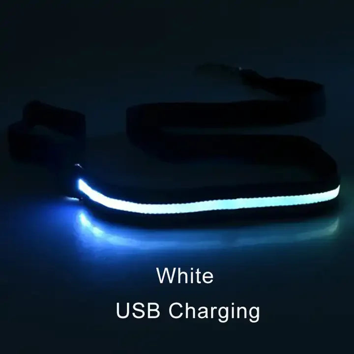 LED Light Up Dog Leash Luminous Rope Lead Leash For Dog Safety Flashing Glowing Dog Collar Harness Electronic Pet Accessories white USBCharging Traction rope only S981f6be869a541719b3750cc7c8826c5u Mytailwiggles2.com