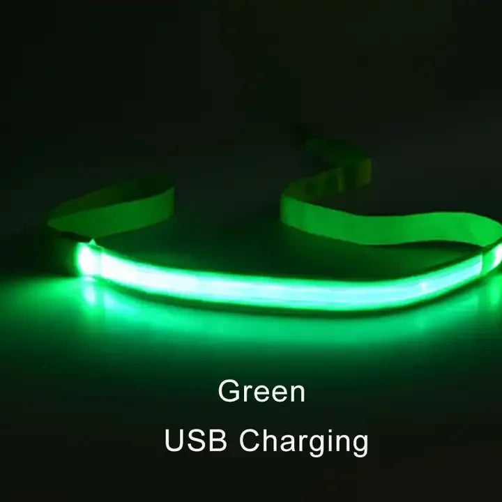LED Light Up Dog Leash Luminous Rope Lead Leash For Dog Safety Flashing Glowing Dog Collar Harness Electronic Pet Accessories green USBCharging Traction rope only S9a51156439b54a05b95c3c50cd8156d3R Mytailwiggles2.com