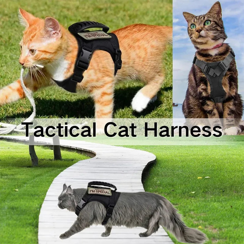 Tactical Cat Dog Harness Leash Adjustable Soft Mesh Pet Vest Cats Escape Proof Vest for Working Training for Large Cat/Small Dog S9c2fc9a5263d4ef9baba1a8c4323d01av Mytailwiggles2.com