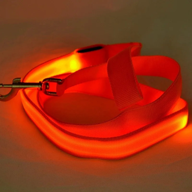 LED Light Up Dog Leash Luminous Rope Lead Leash For Dog Safety Flashing Glowing Dog Collar Harness Electronic Pet Accessories S9f1393950b8c4c7789e6c4a8d7aecdf4o Mytailwiggles2.com