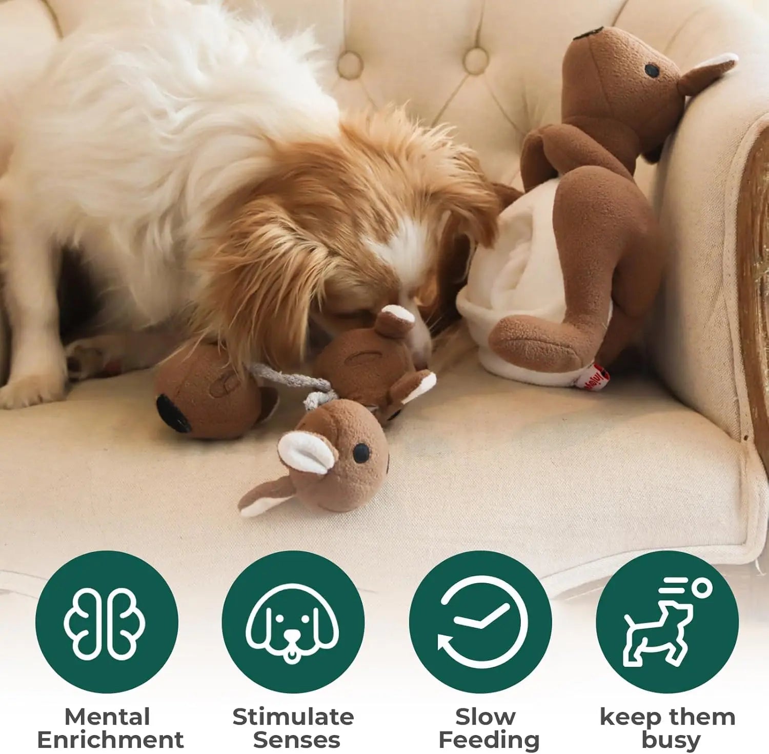 Interactive Kangaroo Plush Dog Toy with Squeaker & Treat Pouch - Snuffle Enrichment Puzzle for Small Medium Dogs Sa801b77800524b6a9c93db90cf181a92t Mytailwiggles2.com