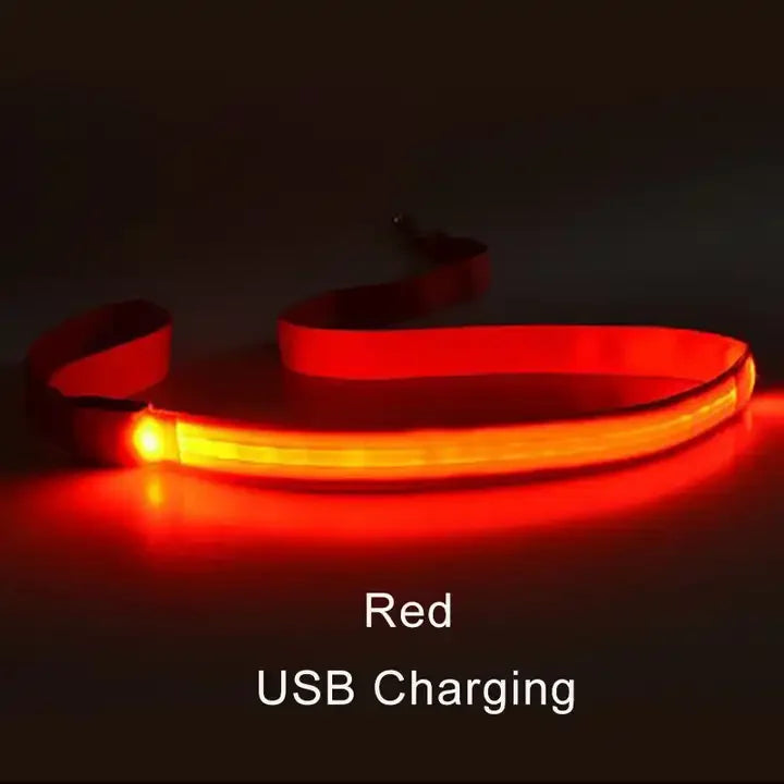 LED Light Up Dog Leash Luminous Rope Lead Leash For Dog Safety Flashing Glowing Dog Collar Harness Electronic Pet Accessories red USBCharging Traction rope only Saa78d6dd738c4036805448d002f6704fE Mytailwiggles2.com