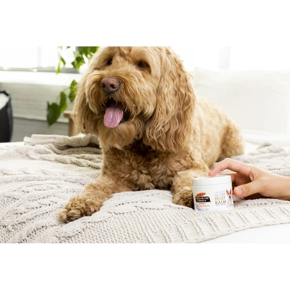 Cocoa Butter Dog Paw Balm Moisturizing Soothing Cream Dry Skin Protection Natural Ingredients Pet Care Puppy Paw Treatment Sabf35c1812544d708f6f27da2da2b531e Mytailwiggles2.com