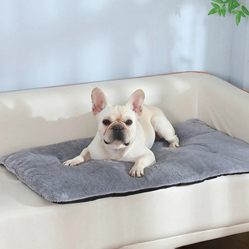 Dog Bed Short Plush Pet Heated Sleeping Mat Cats And Dogs Cute Pet Mat Blanket Thickened Sleeping Mat Small Large Dog Pet Suppli Sbaed8ec995ca490697d423dac7628fecS Mytailwiggles2.com