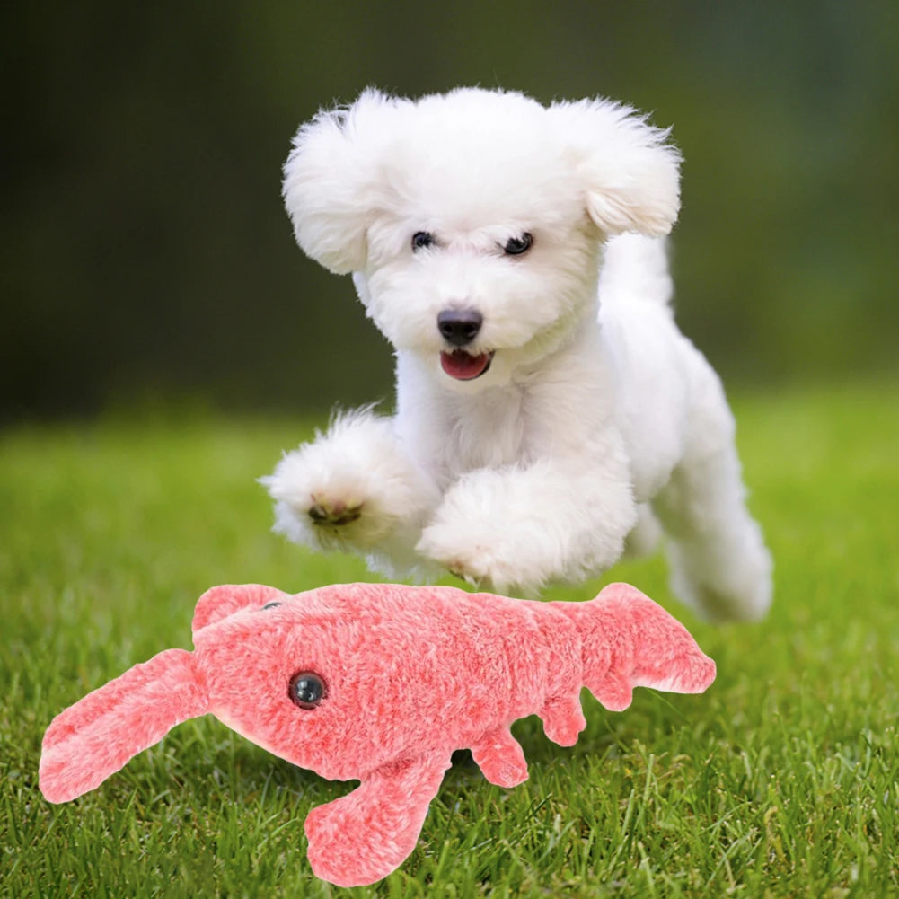 Jumping Moving Dog Toy Interactive Dog Toys To Keep Them Busy Floppy Lobster Interactive Dog Toy for Small Medium Large Dogs Sc3a0277a9f98446fa6dd340b634b12b4z Mytailwiggles2.com