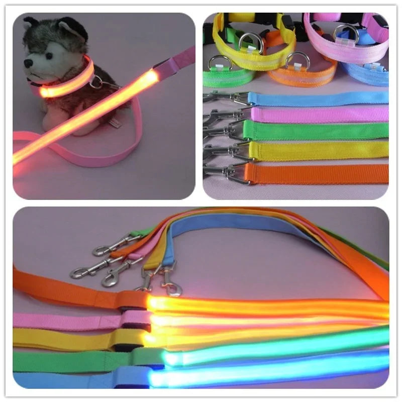 LED Light Up Dog Leash Luminous Rope Lead Leash For Dog Safety Flashing Glowing Dog Collar Harness Electronic Pet Accessories Sc5e71f37edac47bc8aced134d54e6e69q Mytailwiggles2.com