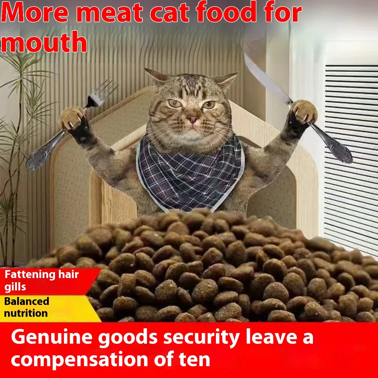 Natural grain-free cat food with high protein content for kittens and adult cats CHINA Sd3c68096581e456fb010513206bdb4dcr Mytailwiggles2.com