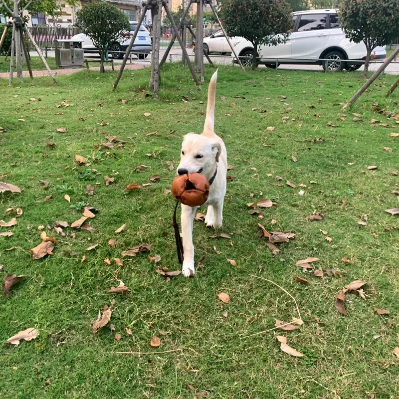 Leather Dog Training Ball Toy Dog Ball Tug Toy, with a Handle Dog Bite Toy, Soft Puppy Reward Toy for Fetch Catch Throw Pet Toys Sd40d1655f8204af7be952943d7b463c42 Mytailwiggles2.com
