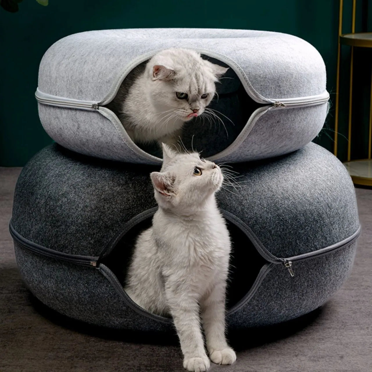 Donut Cat Bed Interactive Tunnel Pet Felt Indoor Toys Cats House Kitten Training Toy Cat Kennel Pets Supplies Sf57df24944e548458532ba517ce66f3aD Mytailwiggles2.com