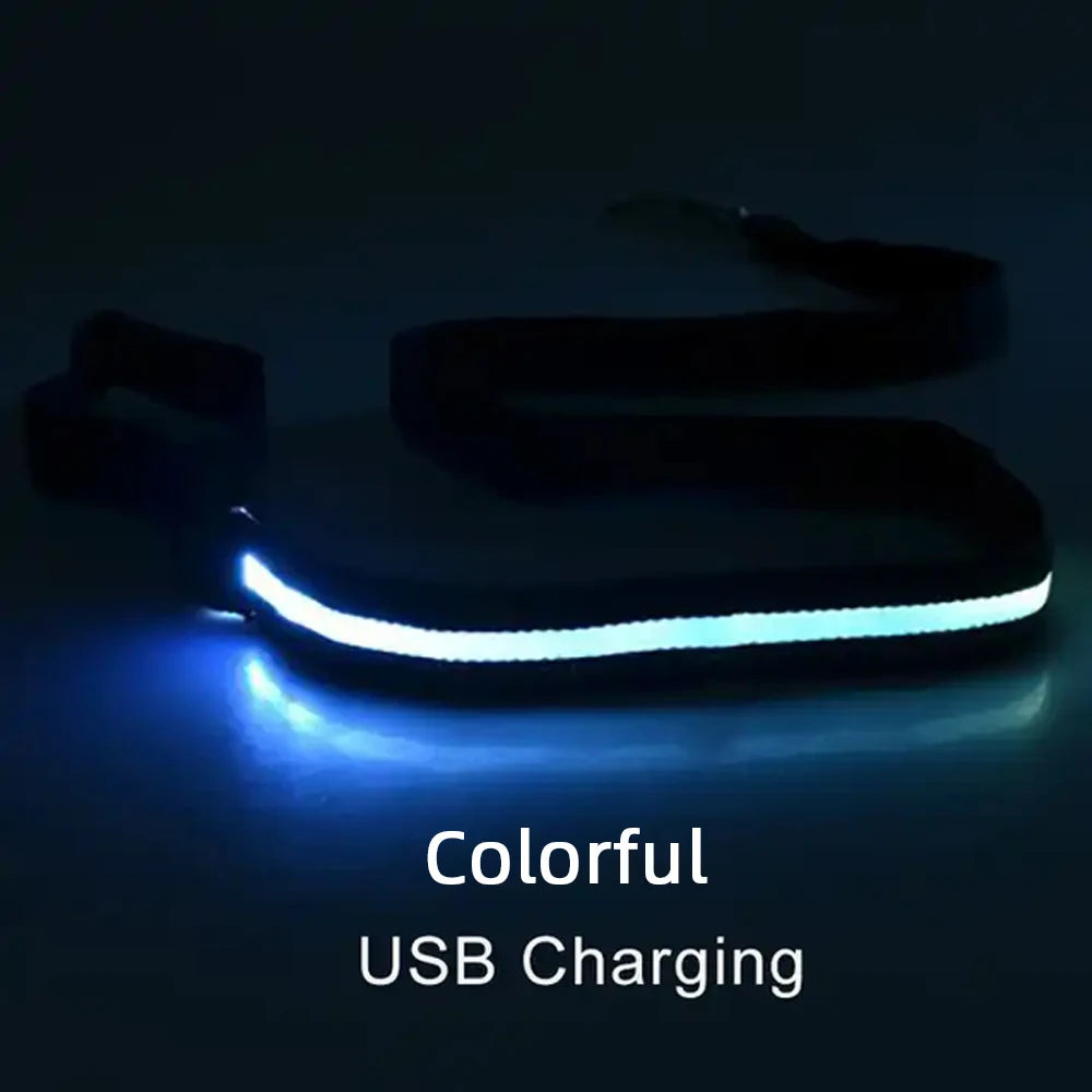 LED Light Up Dog Leash Luminous Rope Lead Leash For Dog Safety Flashing Glowing Dog Collar Harness Electronic Pet Accessories colorful USBCharging Traction rope only Sf841a294efb34cfbb13732122003b3b8j Mytailwiggles2.com